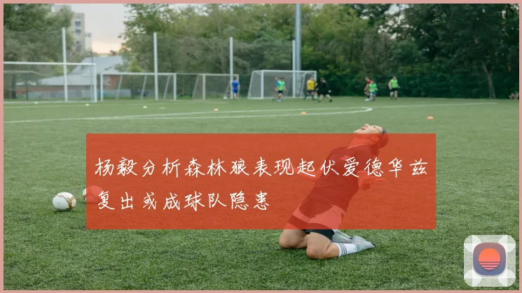 杨毅分析森林狼表现起伏爱德华兹复出或成球队隐患